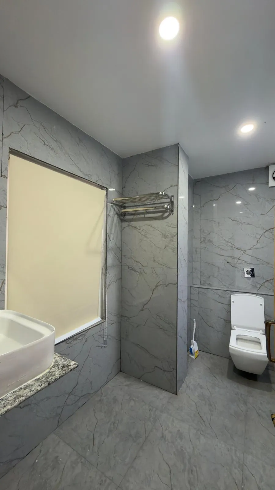 Premium Room private bathroom with a toilet and wash basin